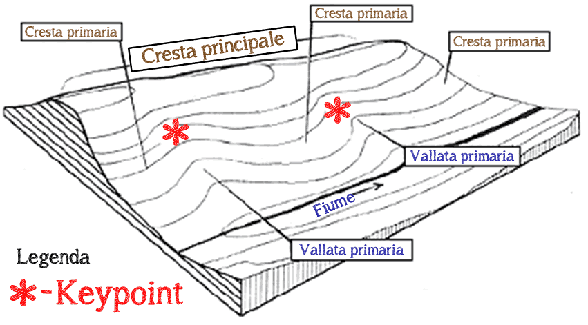 Diagramma vallate e crinali con indicate le curve di livello, vista in proiezione
