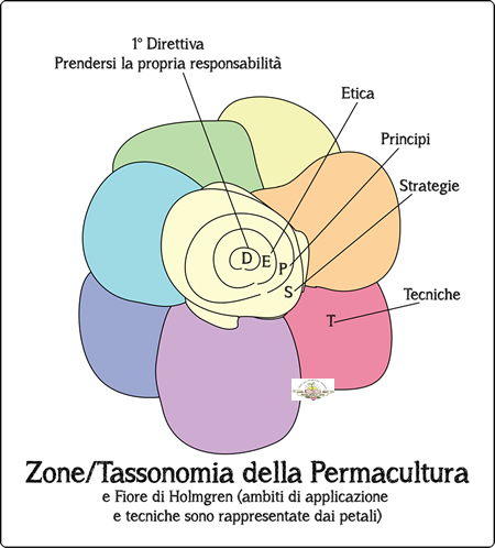 Fiore Pc in Corso piccolo